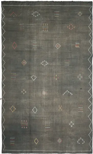 sabra silk kilim / 16323 | WOVEN