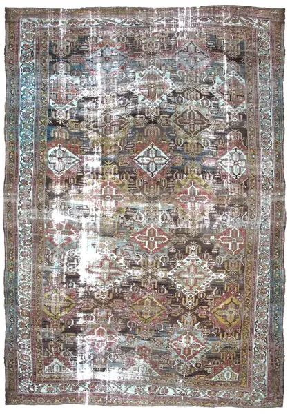 bakhtiari / 18957 | WOVEN