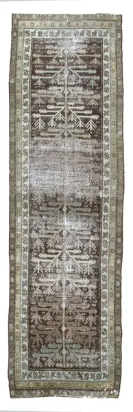 kurd / 19567 | WOVEN