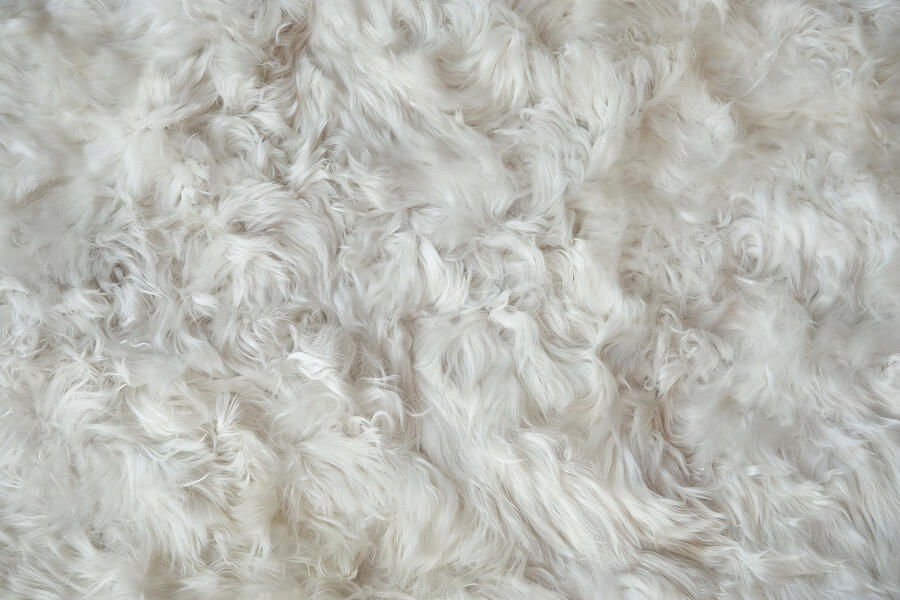 alpaca - white | WOVEN