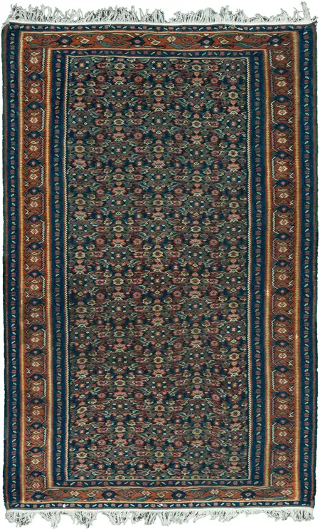 kilim seneh / 11410 | WOVEN